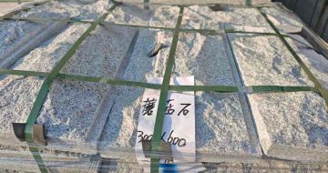 连云港芝麻白蘑菇石，自然面